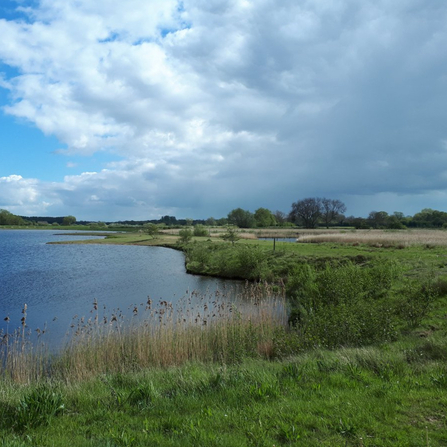 A sunny day at Ripon City Wetlands