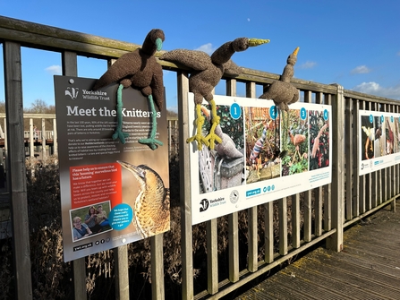 A number of knitted bitterns sit on the signboards at Potteric Carr