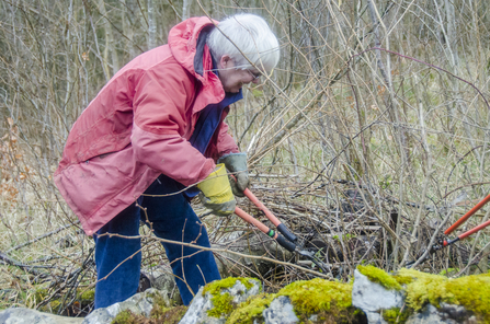 Volunteers travel from all over to take part in the Grass Wood Task Day