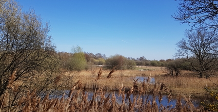 Enjoying the view over Potteric Carr