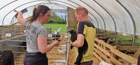 Beth’s “left arm ear tag wiggle technique” in action - David Powell