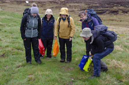 Spot the lapwing chick - Sara, telling our story volunteer