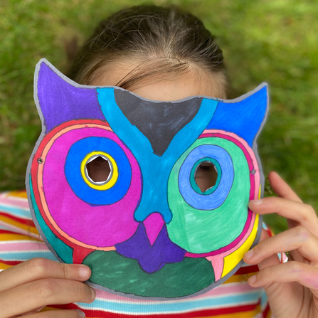 A young girl wearing a colourful owl mask.