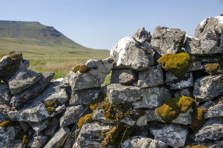 Damaged drystone wall - Sara, Telling Our Story Volunteer