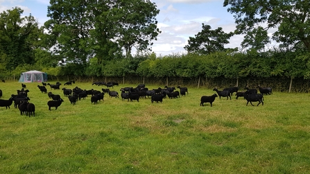 Low Carr Farm - Howard Roddie
