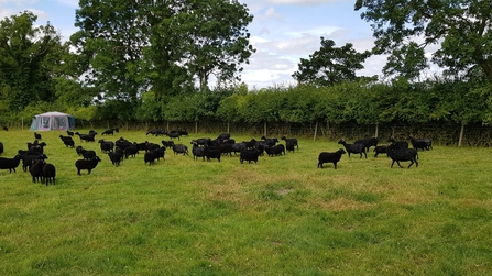 Low Carr Farm - Howard Roddie