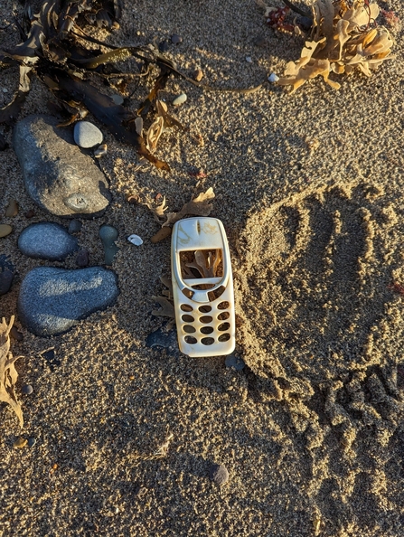 Marine pollution - Nokia phone case washed up on beach during litter pick