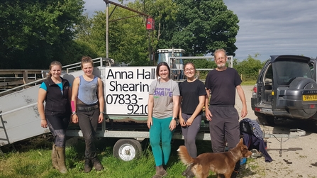 Low Carr Farm Sheep Shearing Team - Howards Roddie