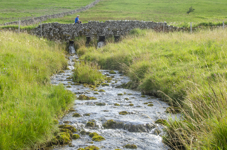 The beck at Weybeck's Pasture, TOS Volunteer Sara