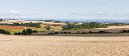 Yorkshire Wolds View, Simon Tull