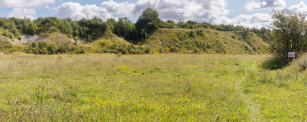 A view of Wharram Quarry, Simon Tull