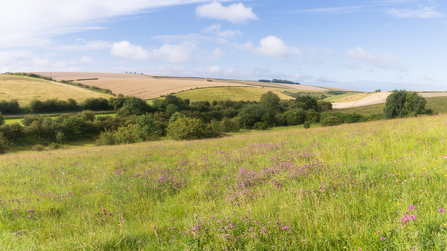 Kiplingcotes Quarry View, Simon Tull