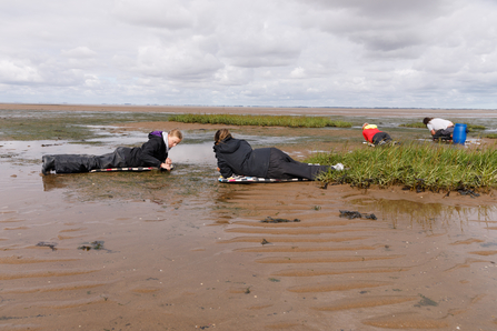 A team effort - Jasmine and Sian from Lincolnshire Wildlife Trust, and Georgia and AJ from Yorkshire Wildlife Trust