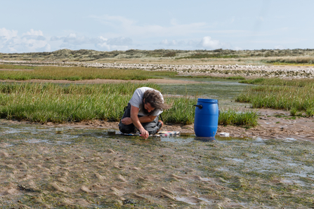 Seagrass planting Spurn - Simon Tull