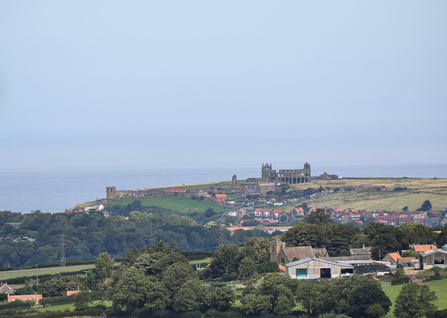 A view of Whitby Abbey from Littlebeck - Zander Watt