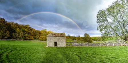 Grass Wood Rainbow - TOS Sara