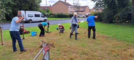 Group of people scarifying grass to create a meadow.