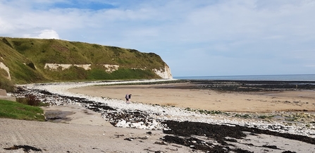 Flamborough South Beach - Howard Roddie