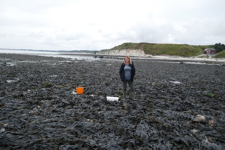   Andrea starting from the other Geo-locationary bucket, Howard Roddie