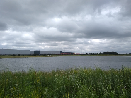Greenery in the foreground, with a lake in the midground and the white buildings of the iPort in the background, with a grey cloudy sky.