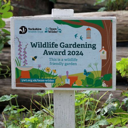 A wildlife gardening award mounted on a wooden paque, placed in a winning garden. You can see a few shrubs, but the main focus is the plaque.