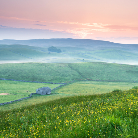 A beautiful pink sunrise over Ashes Pasture.