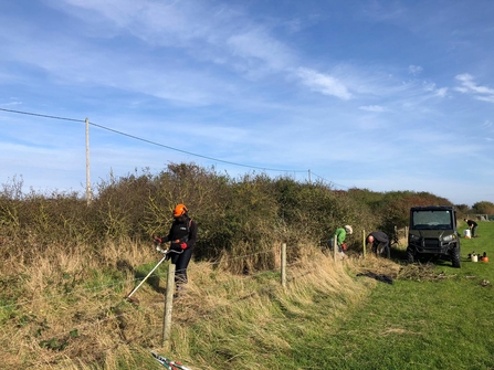 Mowing the grassy area down at the side of a field in order for a hedgerow to be plannted