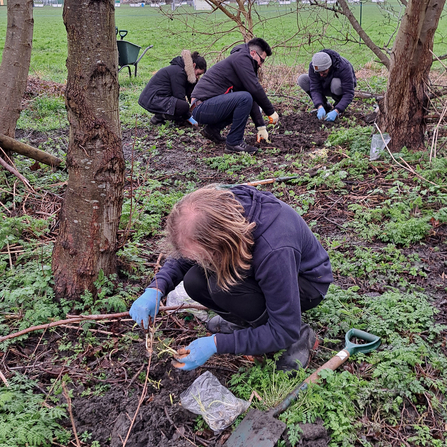 3 people crouched down in the rear of the photo and 1 crouched in the forefront, in amongst trees on a sports field doing some planting