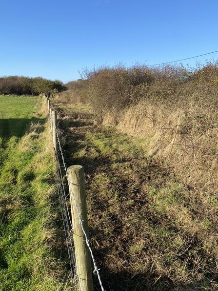 Shot of the freshly cut back section ready to be planted. The grass is green to the left and there's a clear blue sky on a winter's day.