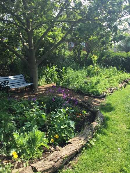 View of the corner of a garden with a border of plants and mature trees. There is a bench set back against the fence.