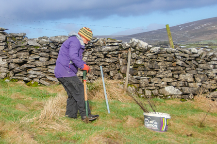 Getting stuck into treeplanting WI Vols TOS Sara