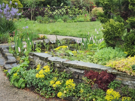 Blooming Border