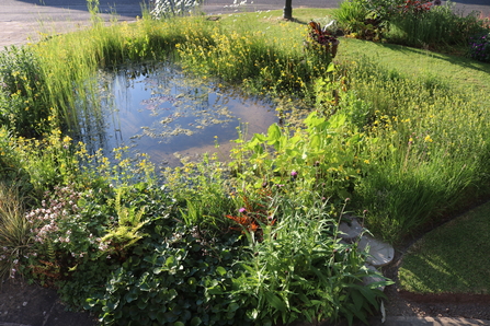 Pond at the Hayloft