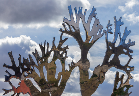 The sculpture in its environment, TOS Volunteer Simon Tull