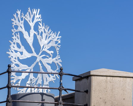 - The polished stainless steel means the sculpture can reflect the changes in  light of the sea and sky