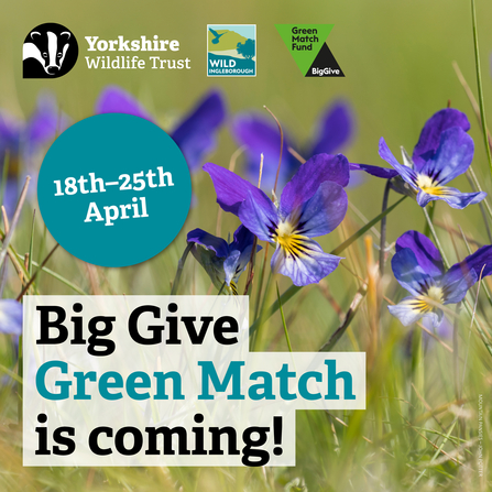 Big Give Green Match is coming! 18th - 25th April