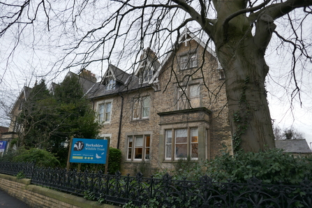 YWT York Office
