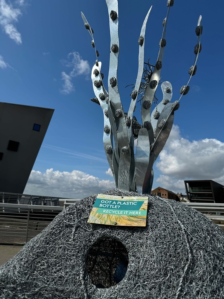Seagrass sculpture in situ on a rock outside with a blue sky in the background.