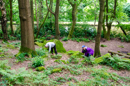 Low Wood volunteers clearing paths