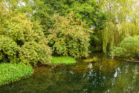 The river Skerne