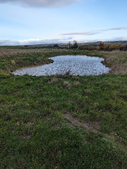 A new pool (front centre) separates two areas of grassland