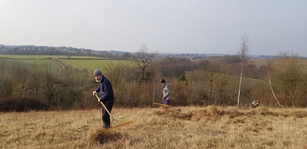 volunteers raking dead grass in a meadow