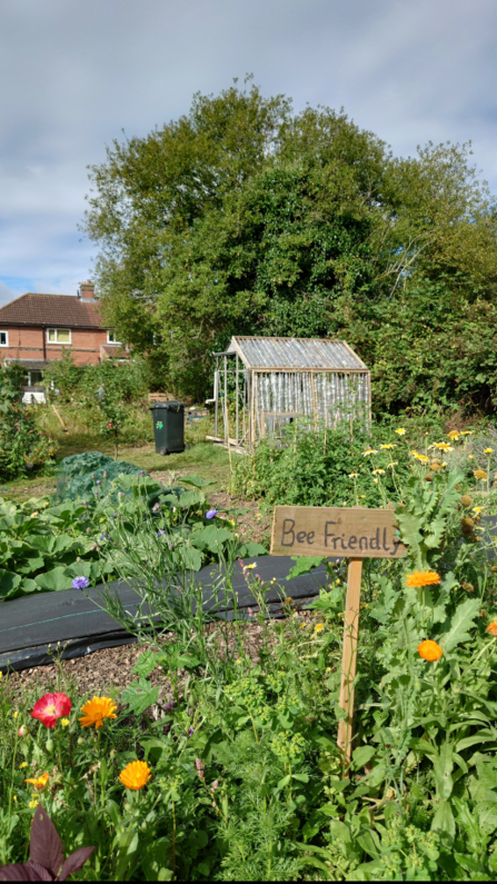 eco friendly garforth grow patch