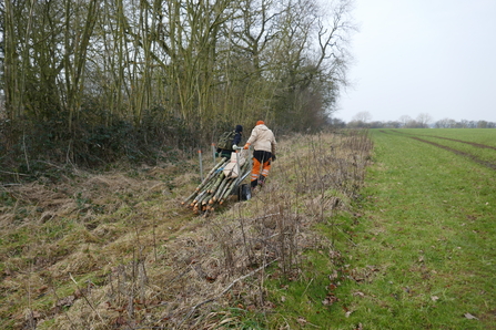 Two volunteers pulling a trolley loaded with posts down a grassy path