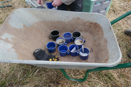 Wheelbarrow holding mugs of tea and coffee