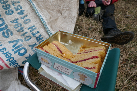 Slices of Victoria sponge in a tin