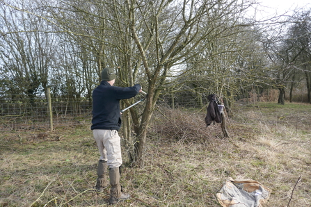 Volunteers chopping hawthorne to reduce shade