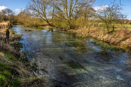Chalk stream in the Wolds on a sunny winter day