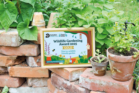 The gold version of the Wildlife Gardening Award