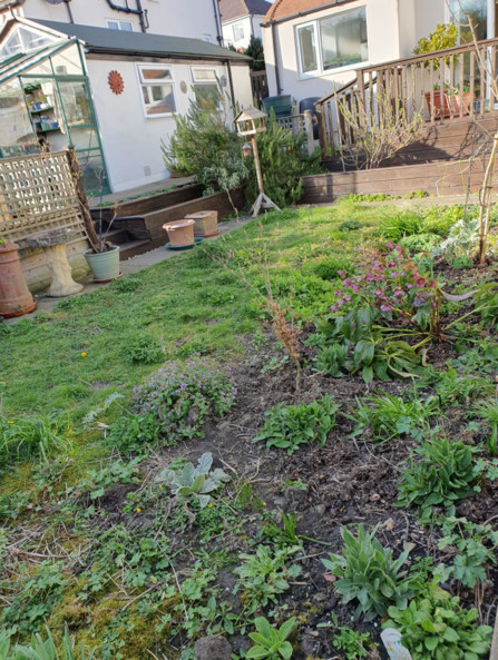 wildlife garden